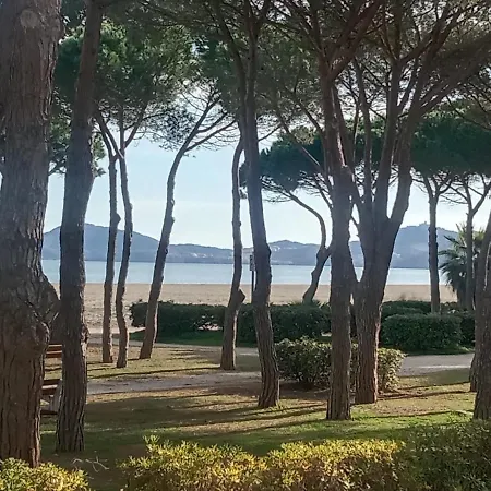 Direct Apartment